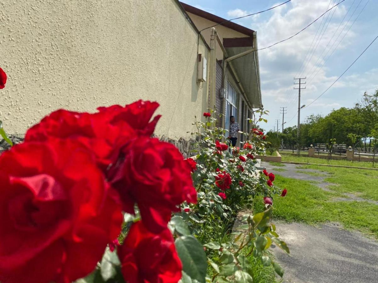 Alp Hotel Qax Zewnętrze zdjęcie